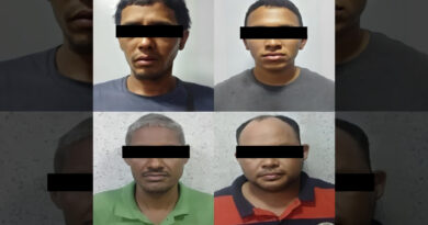 Desarticulada organización delictiva que hurtó láminas aisladores de petróleo en Puerto Cabello