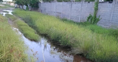 Falcón | Habitantes de Las Tunitas en Chichiriviche denuncian que la vialidad es un lujo inalcanzable