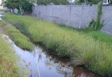 Falcón | Habitantes de Las Tunitas en Chichiriviche denuncian que la vialidad es un lujo inalcanzable
