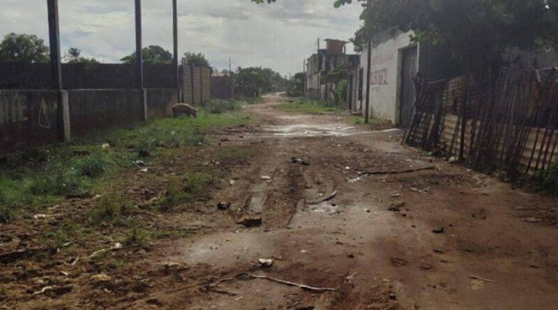 Falcón | Habitantes denuncian que el sector Alí Primera I de Tucacas está en el abandono