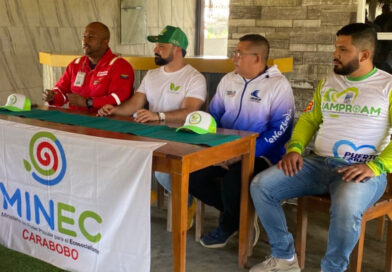 Puerto Cabello inicia la siembra de mil manglares rojos en la laguna de Playa Waikiki