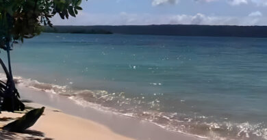 Falcón | Niña de cinco años se ahogó en playa de Chichiriviche