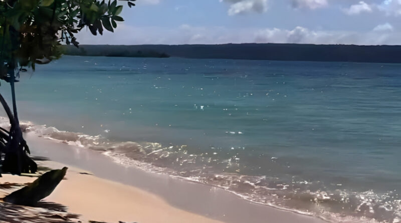 Falcón | Niña de cinco años se ahogó en playa de Chichiriviche
