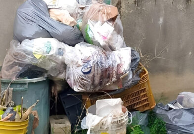 Falcón | Habitantes denuncian que servicio de aseo urbano falla en Boca de Tocuyo