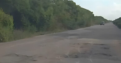 Falcón | Conductores denuncian huecos que «adornan» vía entre Chichiriviche y Tocuyo de la Costa