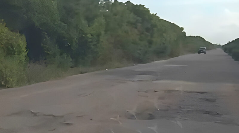 Falcón | Conductores denuncian huecos que «adornan» vía entre Chichiriviche y Tocuyo de la Costa