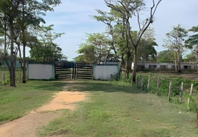 Egresados denuncian que Escuela Granja de Capadare se encuentra en abandono Egresados denuncian que Escuela Granja de Capadare se encuentra en abandono
