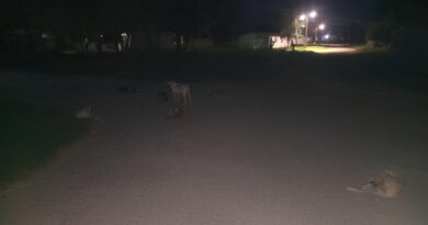 Falcón | Habitantes denuncian que calles de Tocuyo de la Costa se encuentran a oscuras