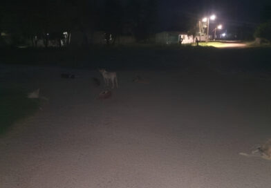 Falcón | Habitantes denuncian que calles de Tocuyo de la Costa se encuentran a oscuras