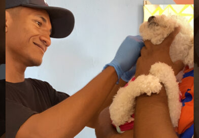 Éxito total en campaña de atención de esterilización de mascotas en Puerto Cabello