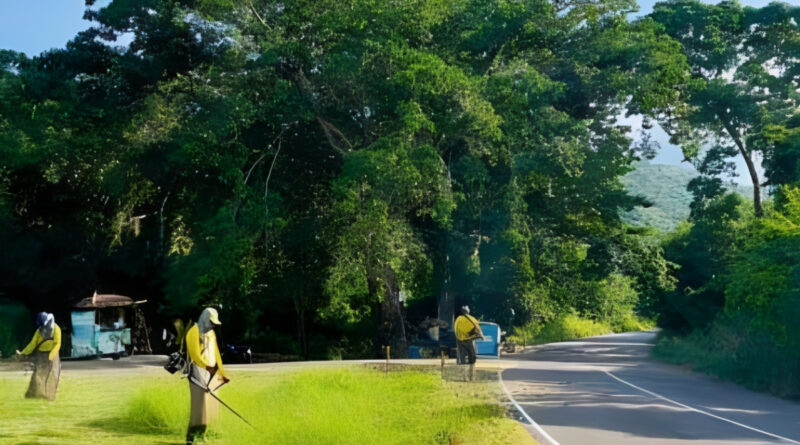Falcón | Acondicionan accesos a Morrocoy para temporada de Carnaval