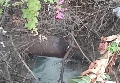 Falcón | Miles de litros de agua se pierden por fugas en tubería matriz en Boca de Tocuyo
