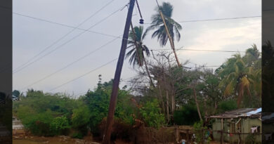 Falcón | Caída de postes y tendidos dejó sin electricidad a Boca de Mangle