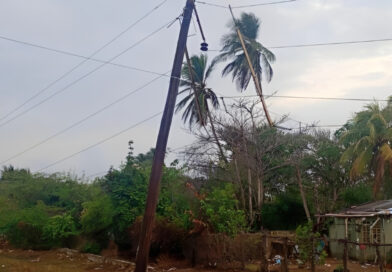 Falcón | Caída de postes y tendidos dejó sin electricidad a Boca de Mangle